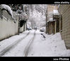 Filename=11_snow_in_Tehran.jpg
Filesize=22KiB
Dimensions=295x256
Date added=Mar 16, 2008 11_snow_in_Tehran.jpg