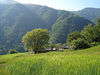 Filename=17_Mazandaran.jpg
Filesize=24KiB
Dimensions=240x180
Date added=Mar 16, 2008 17_Mazandaran.jpg