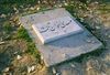250px-Mehdi-Akhavan-Sales_Grave.jpg